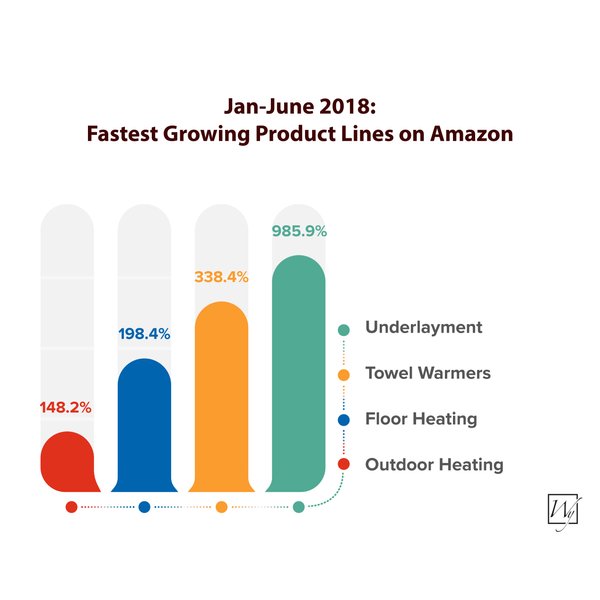 Jan June 2018 Fastest Growing Product Lines on Amazon