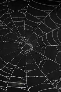 Spider webs are another Halloween symbol