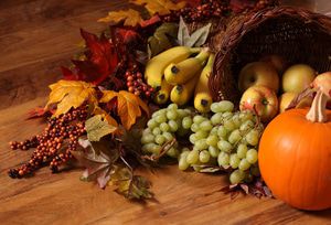 WarmlyYours gives thanks.