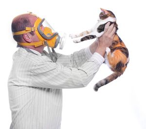 Pet dander, dust, and molds can trigger allergies during the winter.